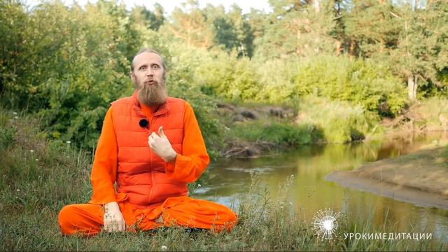 79 ДАДА/ПОМИДОРЫ смотреть онлайн