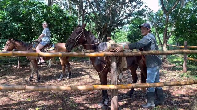 влог 1: КУБА 2022 (цунами? буря на острове? трагедия в самолете?) #travel #путешествие #куба #cuba смотреть онлайн