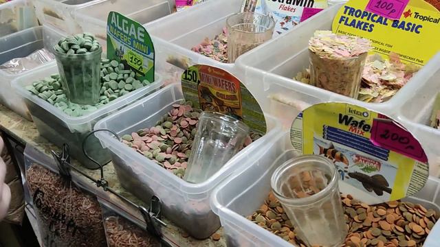 Птичий рынок Москва 2022 смотреть онлайн