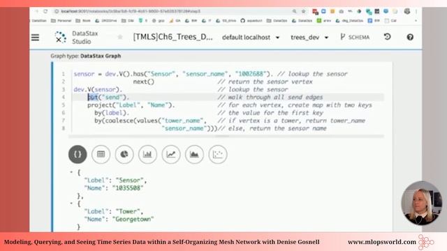 Querying and Seeing Time Series Data within a Self-Organizing Mesh Network смотреть онлайн