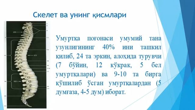 Кахаров Б А Еш физиологияси ва гигиенаси Таянч харакат аьзолари смотреть онлайн