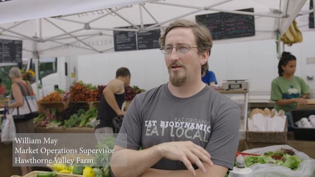 The River That Flows Both Ways смотреть онлайн