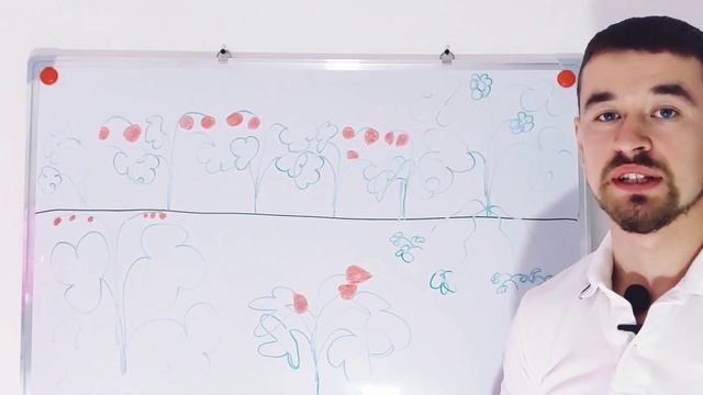 Мужские и Женские растения клубники. Есть ли они на ВАШЕМ участке??? смотреть онлайн