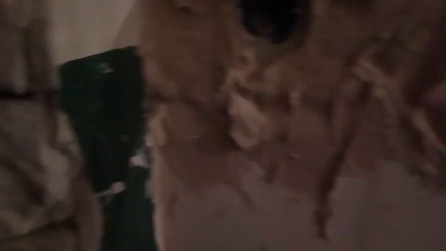 Штукатурка стен своими руками