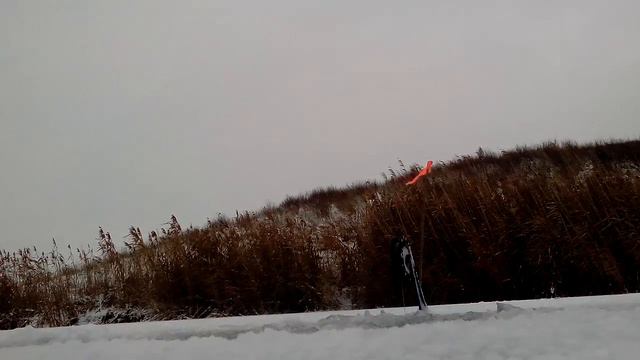 Поклевка и вываживание щуки на 1.1 кг смотреть онлайн