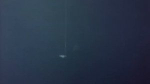 Подводная одиссея команды Кусто. 1. Акулы 1968