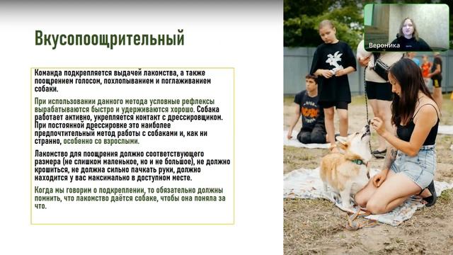 Формирование навыков у собак смотреть онлайн