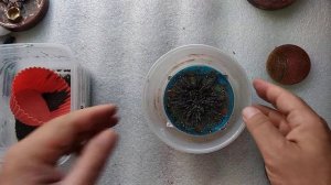 Оргонит. Увидеть энергию может каждый. Я покажу как это сделать.