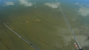 Окунь полоротый