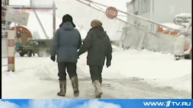 Прокуратура и полиция Чукотки начали проверку по факту жестокой расправы над белой медведицей Пе смотреть онлайн