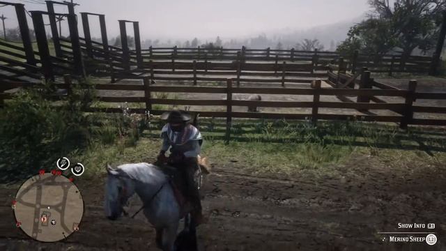 How to get a perfect sheep hide for Maxwell Jacket (sheep locations Red Dead Online) смотреть онлайн