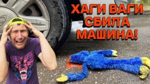 ХАГИ ВАГИ СБИЛА МАШИНА!