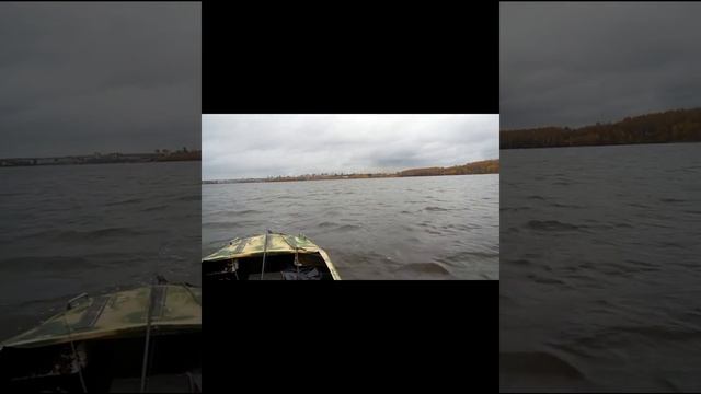 Тагильский пруд,осень,ловил щуку,окуня. Никого не поймал. смотреть онлайн