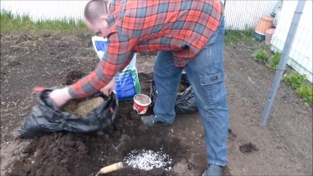 Огородничество. Выпуск #17 - Тёплые Лунки для КАБАЧКОВ. Как Получить Супер Урожай! Рекомендую Аляск смотреть онлайн