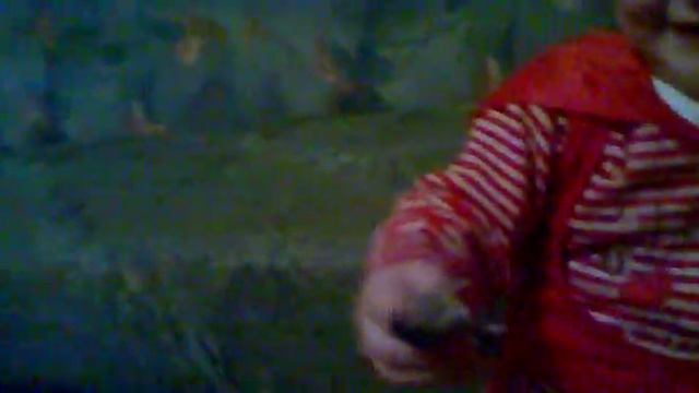 АСИЯ поймала живую мышь