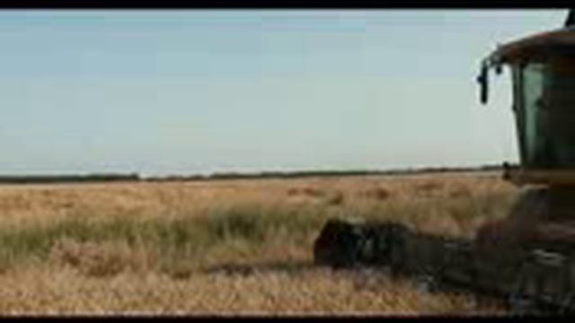 Рекордный урожай в Белгородской области