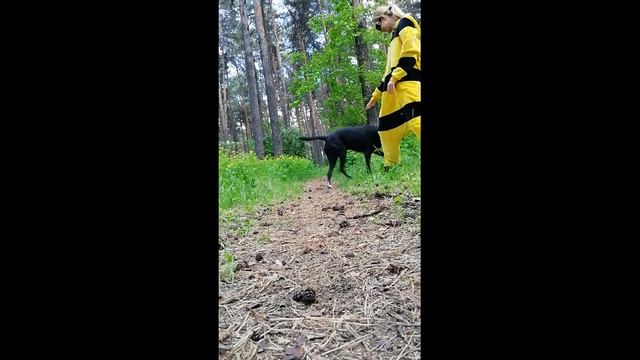 Booty Dance TWERK пчёлка в лесу на карантине _самоизоляция смотреть онлайн