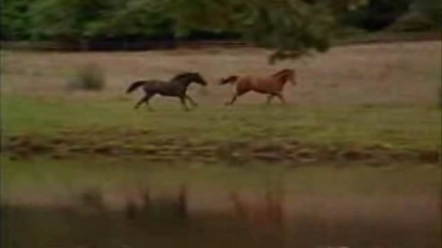 10. BLACK BEAUTY - FROLIC (1994 SOUNDTRACK)