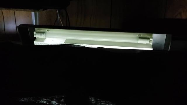 Problems With My New LEDs смотреть онлайн