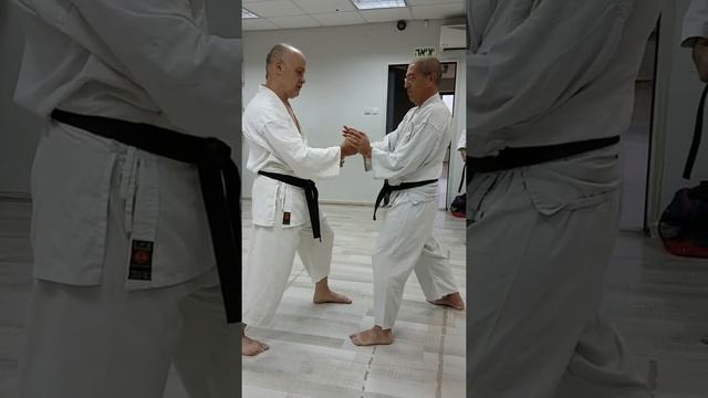 Sensie Eyal Nir Traditional Shotokan Karate ITKF - Overview of the basic Karate principal смотреть онлайн