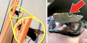 Совпадения на Миллион 5