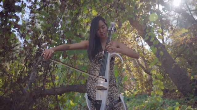 Magokoro - True Heart (100 Sec) Danna Xue & Daniel Ho