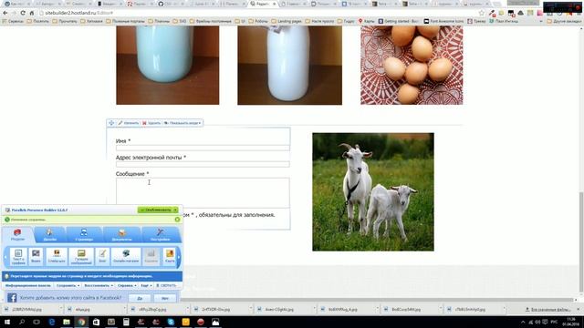 Создание саита под ключ за 99 рублей на hostland.ru смотреть онлайн