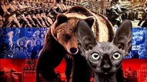 Ну так что, как вам придуманный Зеленский?