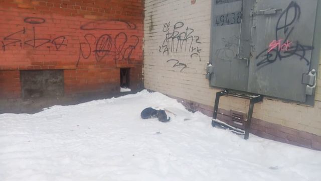 Мерзнут руки и ноги и негде сесть....Это время похоже на сплошную ночь... смотреть онлайн
