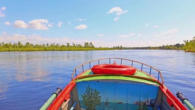 Полесский партизан - Ксения Багрей!