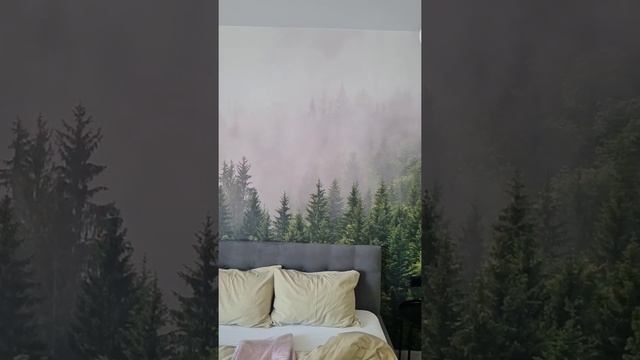 фотообои лес #shorts # настятуман #мияги #обои смотреть онлайн