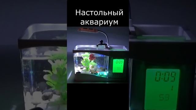 Настольный аквариум с ЖК цифровым дисплеем shorts. смотреть онлайн
