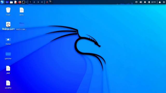 how to setup ngrok in kali linux | computer me ngrok install kaise kare | what is ngrok | ngrok смотреть онлайн