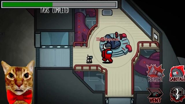 Как поиграть в АМОНГ АС с БОТАМИ на ПК и АНДРОИД? смотреть онлайн