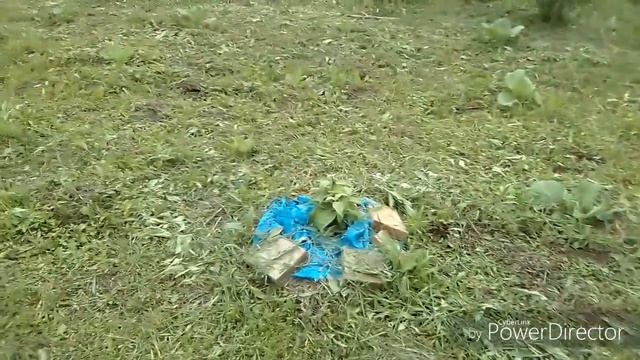 Косим огород вместо прополки,как было до и после. смотреть онлайн