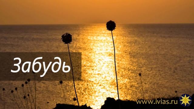 Забудь | Стихи смотреть онлайн