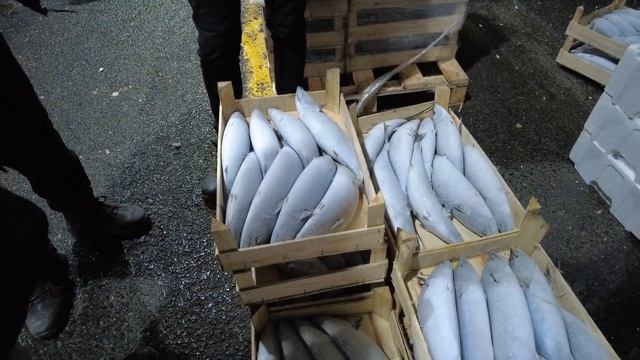 Обзор на Рыбный рынок Стамбула в районе Бейликдюзю. Gurpinar Fish Market смотреть онлайн