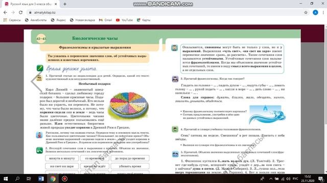 русский язык 24.11.2020