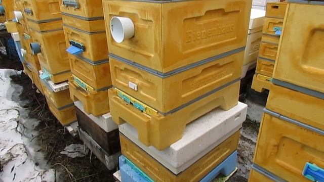 про весеннюю обработку от клеща и утепление дна улья, для лучшего весеннего развития пчел - часть 2