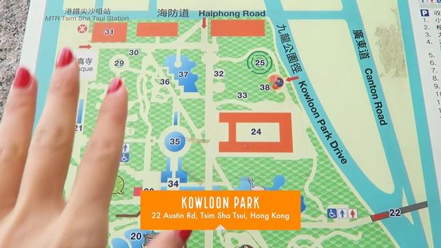 Egg Waffles In Hong Kong