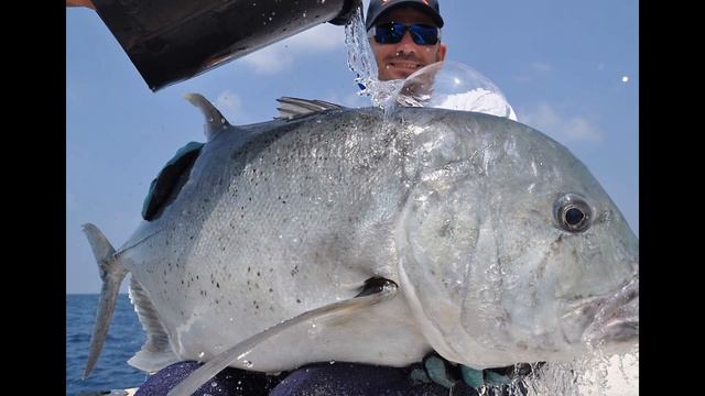WFA Fishing Expeditions смотреть онлайн