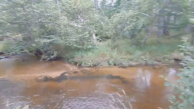 Рыбалка на севере Сахалина.