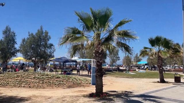 Израиль. День Независимости. Воздушный парад. 75 лет. смотреть онлайн