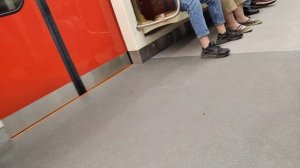 От Станция метро Девяткино до станция метро Автово