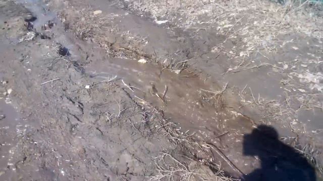 Омск 2015. Весна смывает дороги, на власти не надеемся. смотреть онлайн