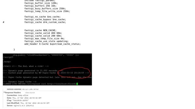 DevOps & SysAdmins: Nginx serving static PHP files (2 Solutions!!) смотреть онлайн