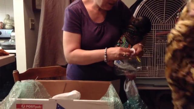 Box opening of Raleigh sculpt by Marita Winters reborn by Melissa George смотреть онлайн