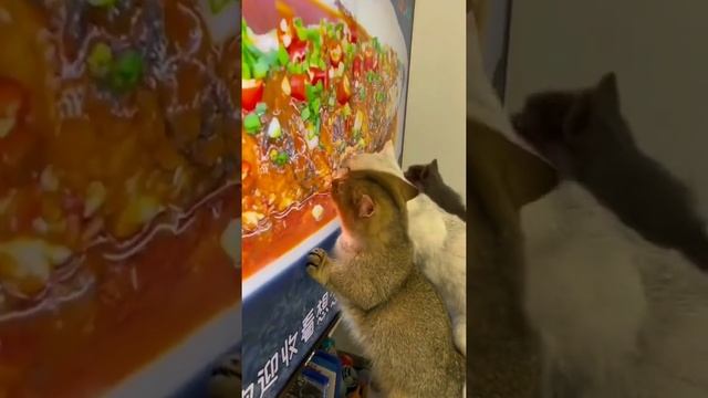 очень вкусно смотреть онлайн