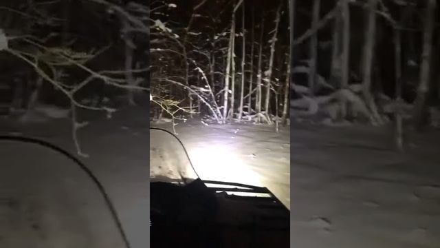 В лесах Башкирии на квадроцикле соколе смотреть онлайн