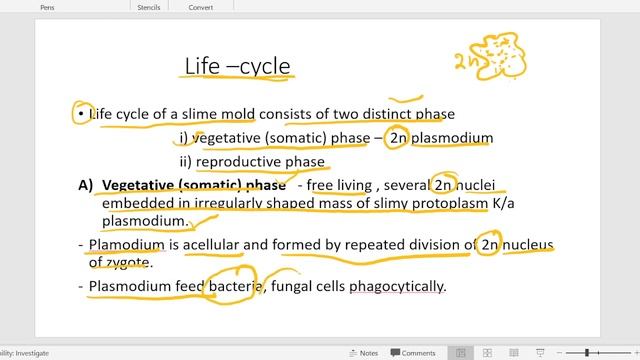 #Class- Myxomycetes # Physarum -life cycle #NET/JRF#GDC/#PGT/GIC/TGT#NEET-MEDICAL #B.Sc./#M.Sc. смотреть онлайн
